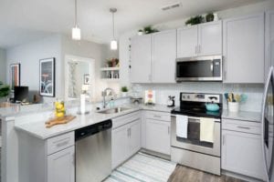 luxury kitchen with granite counters and stainless steel appliances at The RED Apartments